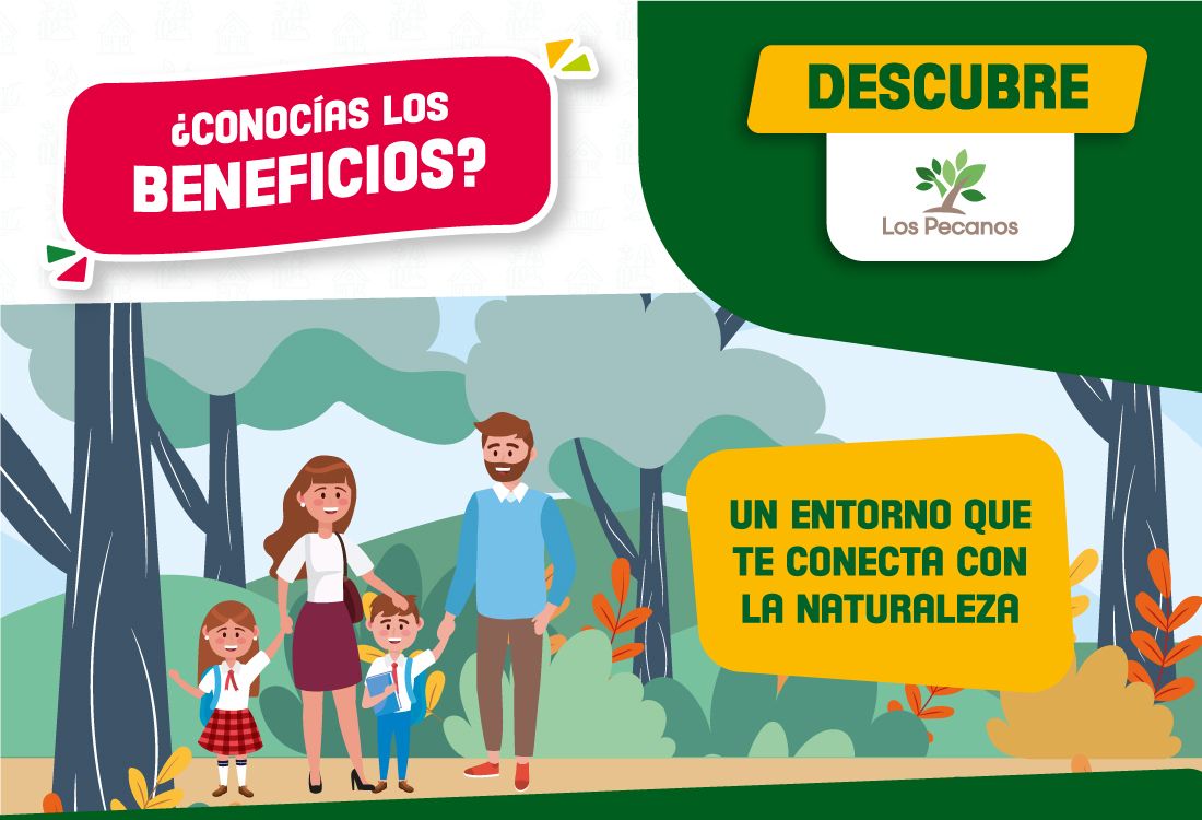 Descubre los Beneficios de Los Pecanos
