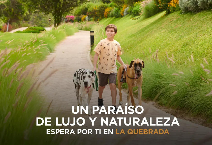 Un paraíso de lujo y naturaleza espera por ti en La Quebrada