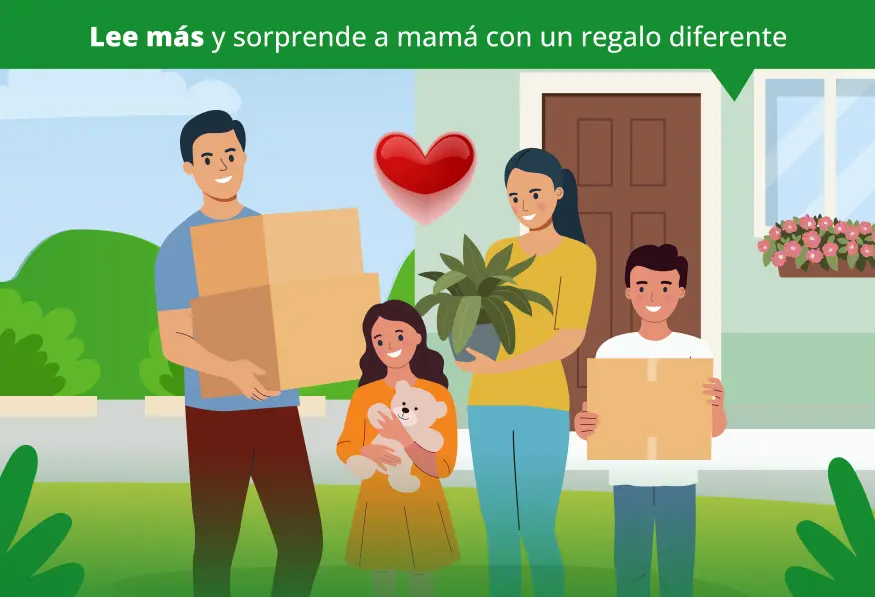 ¿Un detallito? Mejor, un terrenito para mamá