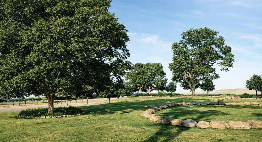 195129reas-verdes-el-mirado