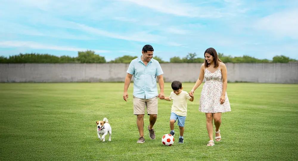 cerco-perim195169trico-el-mirador